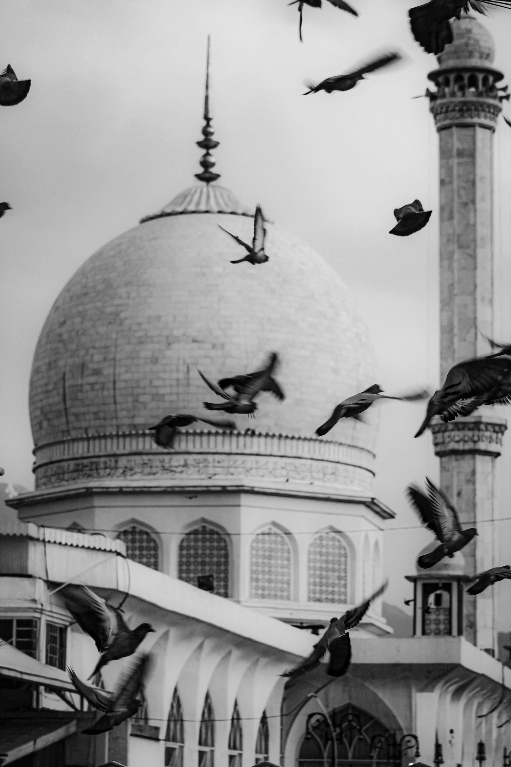A mosque dome and minaret with doves in flight, in black and white